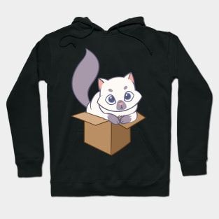 Cat in the box Hoodie